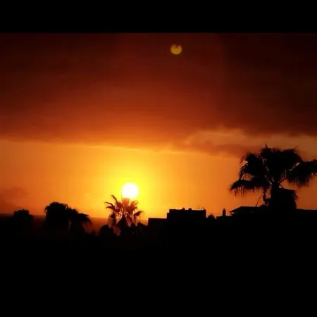 Garden * Costa Adeje